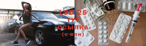 ПСИЛОЦИБИНОВЫЕ ГРИБЫ Бородино