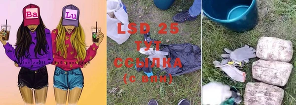 трава Верея