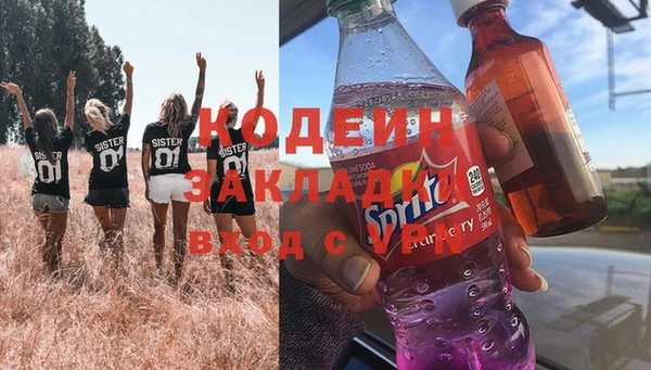 ПСИЛОЦИБИНОВЫЕ ГРИБЫ Бородино