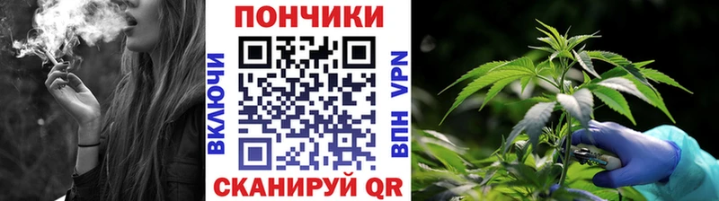 Канабис ГИДРОПОН  Хилок 